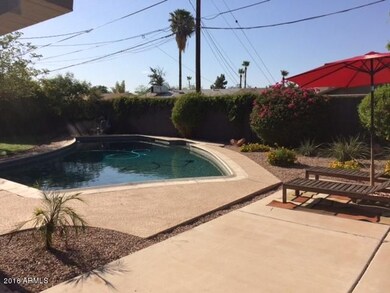backyard pool