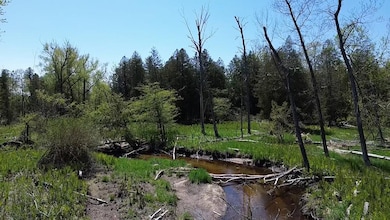 Us 23 Lot unit WP001, Ossineke, MI 48381 - photo 5