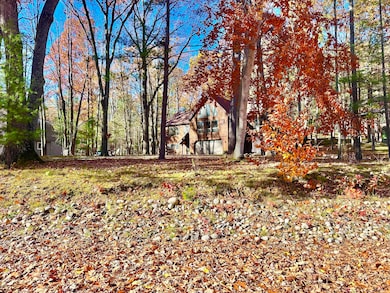 11800 Goodfellow Dr, Frederic, MI 49733 - photo 5