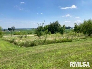 4008 229th Street Cir N, Port Byron, IL 61275 - photo 4