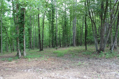 Lot 27 S Cross Creek Trail unit 27, Mill Spring, NC 28756 - photo 6