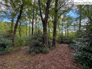 tbd Timber Rock Rd, Blowing Rock, NC 28607 - photo 5