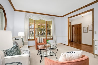 4439 Snail Lake Blvd, Saint Paul, MN 55126 - photo 5