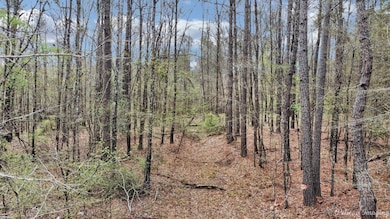 View of landscape
