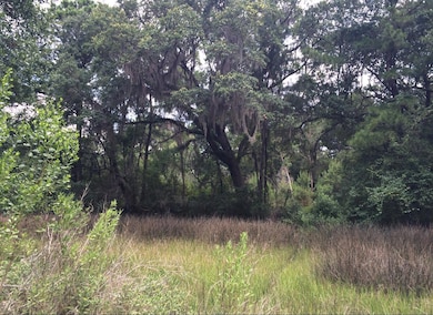 2907 River Rd, Johns Island, SC 29455 - photo 2