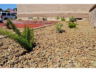 Yard/Garden.