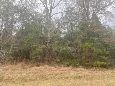 0 Graham Rd, Leesville, LA 71446 - photo 5