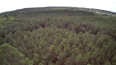 0 Moody Rd, Minden, LA 71055 - photo 5