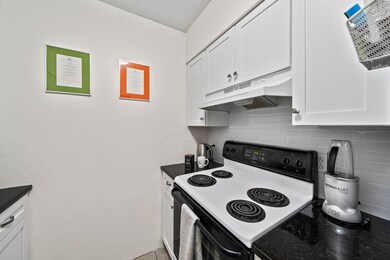 59-69 Msgr Patrick j Lydon Way unit 204, Boston, MA 02124 - photo 5