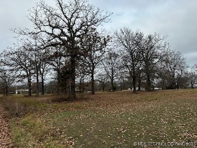 unlisted-address, Vian, OK 74962 - photo 5