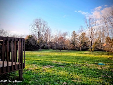 278 Shawn Ln, Ekron, KY 40117 - photo 6