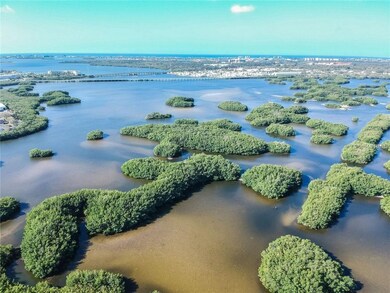 Long Bayou