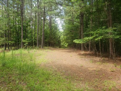 106 Westminster Dr, Oxford, MS 38655 - photo 6