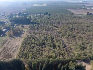 17572 W Bradbury Rd, Turlock, CA 95380 - photo 4