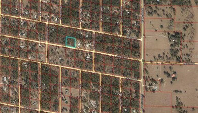 0976700700