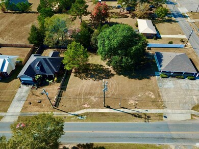 .35 Acres N Broad St, Cowarts, AL 36321 - photo 4