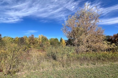 5577 Cannon Meadows Dr NE, Ada, MI 49301 - photo 2