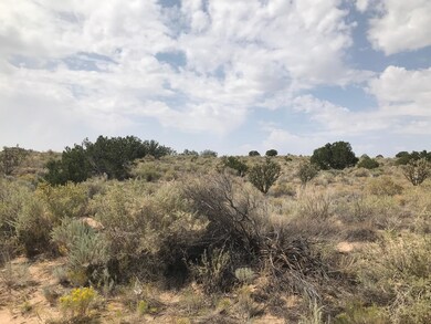 1406 24th St NW, Albuquerque, NM 87124 - photo 2