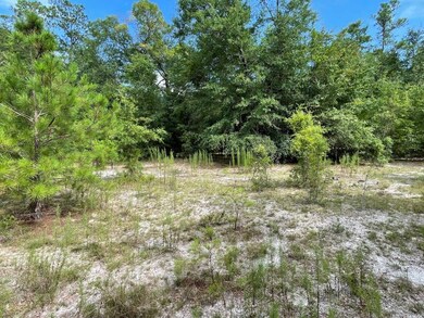 TBD Rivers Hill Rd unit B1, Varnville, SC 29944 - photo 6