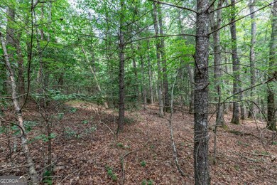LOT 2 Rocking Chair Ridge, Mineral Bluff, GA 30559 - photo 6