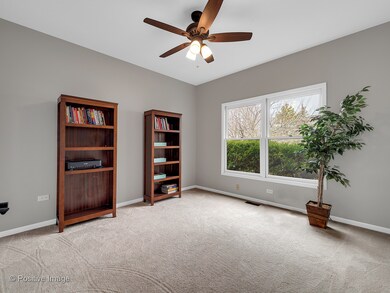 4543 Clearwater Ln unit 5, Naperville, IL 60564 - photo 6