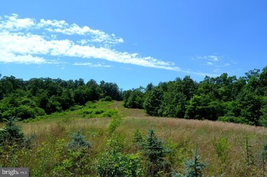 211 Tabasco Ln, Hedgesville, WV 25427 - photo 7