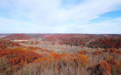 0 Beam Rd unit 4419337, Glenmont, OH 44628 - photo 7