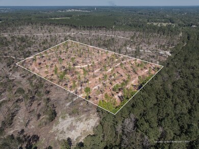 8.24 +/- Acres Noel Townsend Rd, Seminary, MS 39429 - photo 2