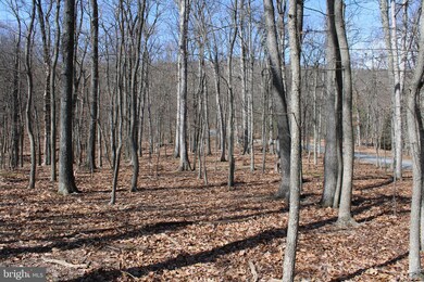 6.11 AC Sideling Mountain Trail, Great Cacapon, WV 25422 - photo 5