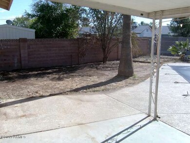 023-244366 - Backyard