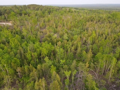 dji_fly_20250604_191216_479_175200586145