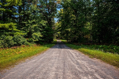 Lot 0 Lonesome Rd, Dexter, WI 54495 - photo 5
