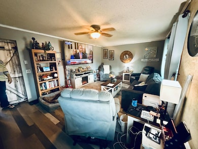 147 S 7th St NE, Cedar Springs, MI 49319 - photo 3