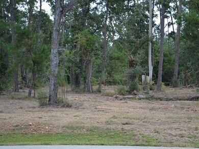 29026 Village Ridge Ct, Magnolia, TX 77355 - photo 5