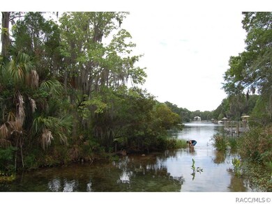 unlisted-address, Dunnellon, FL 34432 - photo 3