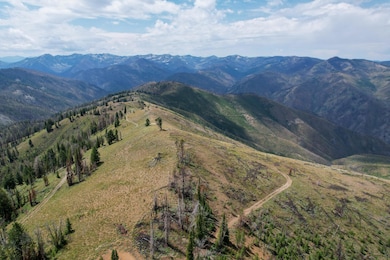 9261 Sheep Mountain Rd, Stanley, ID 83278 - photo 3