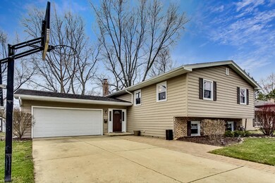 320 Rowan Ct, Naperville, IL 60540 - photo 2
