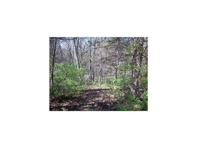 Land/Lot.