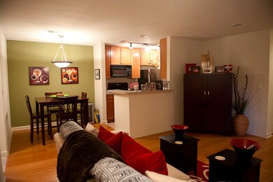 Trivette condo-2