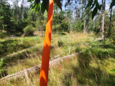 VL W Hb Road (Trail 6545), Baldwin, MI 49304 - photo 2