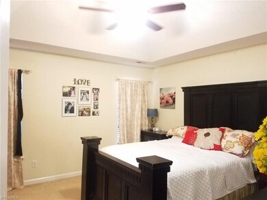 Master bedroom - Notice the tray ceiling