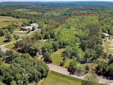 1912 Lay Dam Rd, Clanton, AL 35045 - photo 2