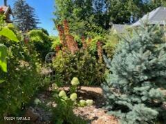 IMG_0375(1)