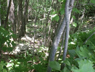 MOSTLY WOODED