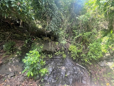 KM 19.9 Carr 128, Yauco, PR 00698 - photo 7