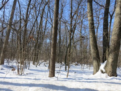 0 108th unit 19005013, Pullman, MI 49450 - photo 2