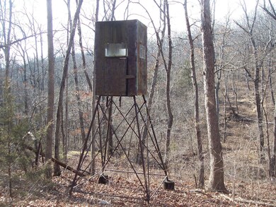 Deer Stand