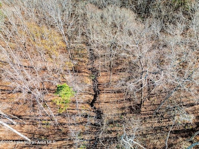 00 Lindsey Rd, Eclectic, AL 36024 - photo 7