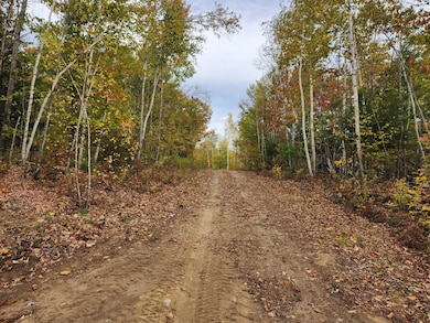Lot C Fern Way, Hartford, ME 04220 - photo 2