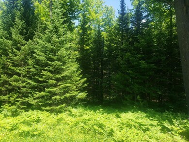 Lot 3 Sanctuary Rd, Tomahawk, WI 54487 - photo 3